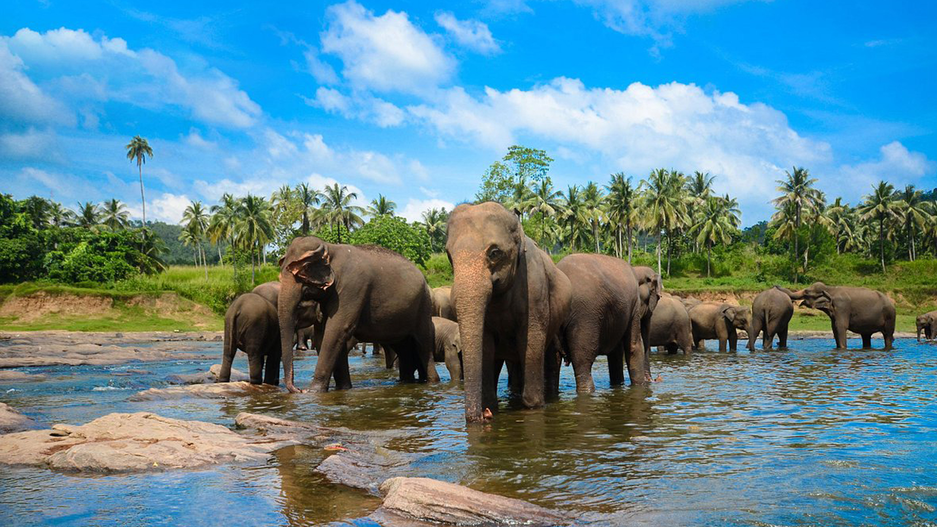 Ceylon Gem Tours